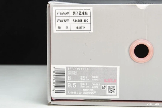 Stocking Stuffer  LeBron 20  FJ4955-300 Nike 0318